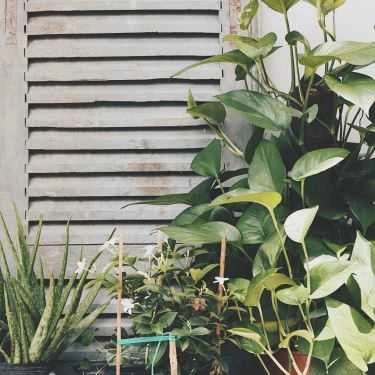 Tổng hợp- Cafe Trà Sữa Lộc Trà