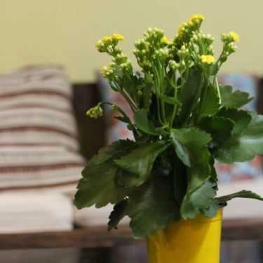 Tổng hợp- Cafe Trà Sữa Lộc Trà