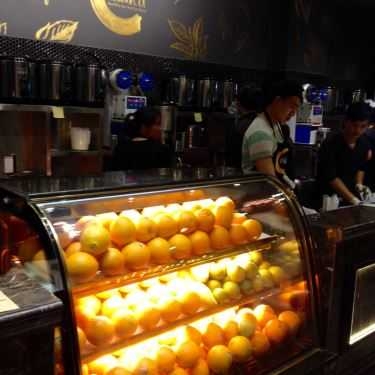 Tổng hợp- Cafe MAKU Việt Nam - Trà Tốt Cho Sức Khoẻ