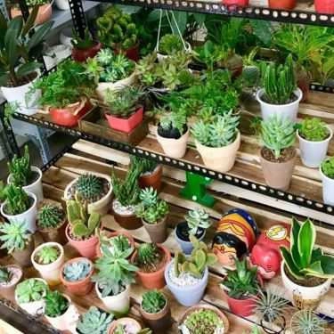 Tổng hợp- Ăn vặt Trà Sữa Mr.To Garden