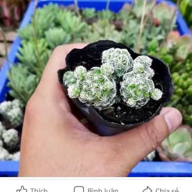 Tổng hợp- Ăn vặt Trà Sữa Mr.To Garden
