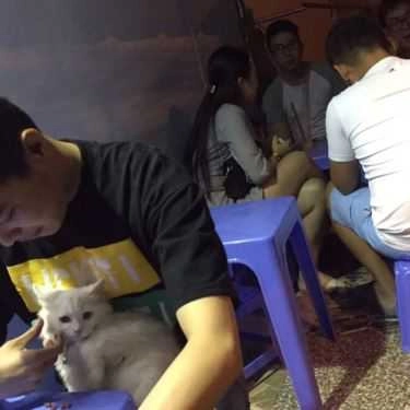 Tổng hợp- Ăn vặt Trà Sữa Nhà Làm Queen