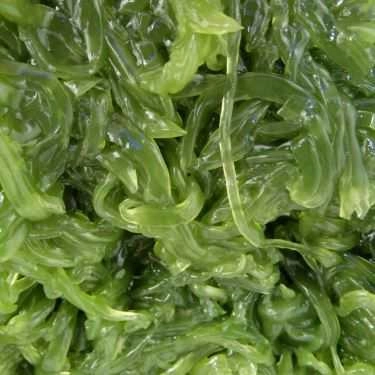 Món ăn- Ăn vặt Trà Sữa Nhà Làm Suna - Độc Lập