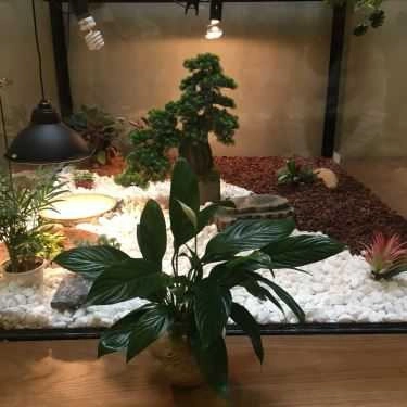 Tổng hợp- Cafe Trà Sữa R&B Tea - Phạm Hùng