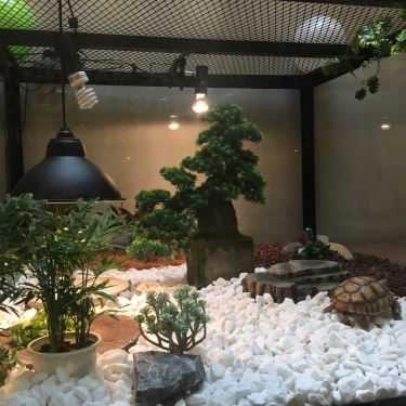 Tổng hợp- Cafe Trà Sữa R&B Tea - Phạm Hùng
