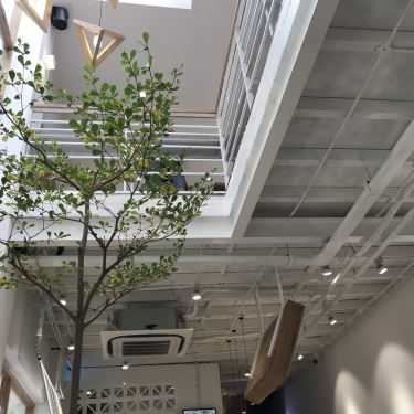 Tổng hợp- Cafe Trà Sữa Sharetea - Nguyễn Đình Chiểu