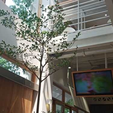 Tổng hợp- Cafe Trà Sữa Sharetea - Nguyễn Đình Chiểu