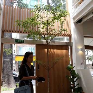 Tổng hợp- Cafe Trà Sữa Sharetea - Nguyễn Đình Chiểu