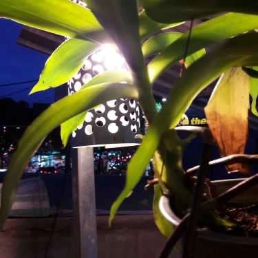 Tổng hợp- Cafe Trà Sữa The Moon