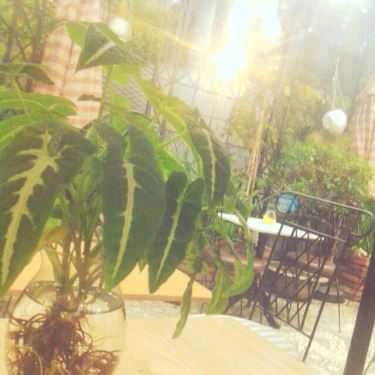 Tổng hợp- Cafe Trà Sữa Tiên Hưởng - Phan Văn Trị