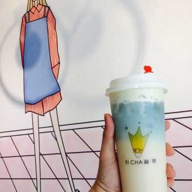 Tổng hợp- Cafe Trà Sữa Xicha Việt Nam