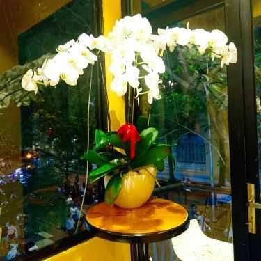 Tổng hợp- Cafe Trà Sữa Xu - Tea & More
