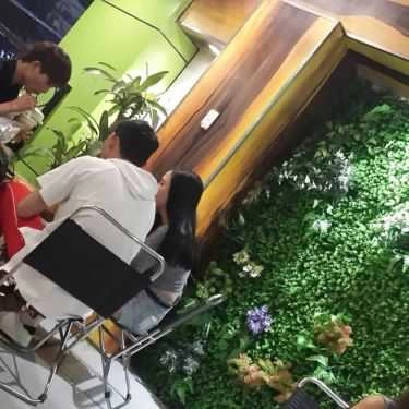 Tổng hợp- Cafe Trà Trái Cây Mr. Wish - Nguyễn Gia Trí