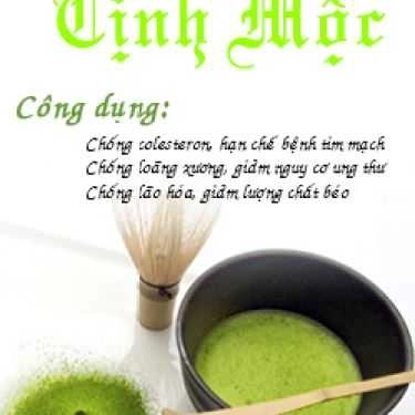 Tổng hợp- Trà Xanh Tịnh Mộc - Shop Online