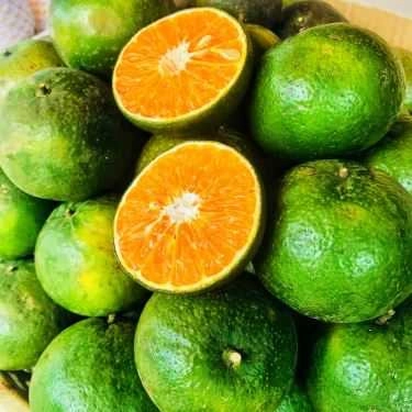 Tổng hợp- Ăn vặt Nước Ép Trái Cây 4 Mùa