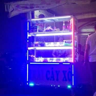 Tổng hợp- Ăn vặt Trái Cây Xô Bon Bibo