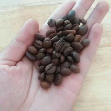 Tổng hợp- Trạm Cafe Sạch - The Pure Roast Coffee