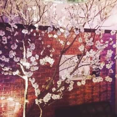 Tổng hợp- Trầm Cafe - Trương Vĩnh Ký