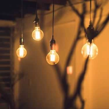 Tổng hợp- Tree Of Life Coffee