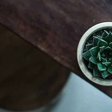 Tổng hợp- Tree Of Life Coffee