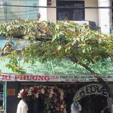 Tổng hợp- Tiệc tận nơi Trí Phương - Phục Vụ Cưới Hỏi - Nguyễn Đình Chiểu