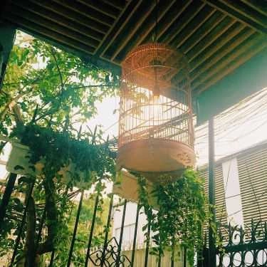 Tổng hợp- Cafe Tròn Bistro