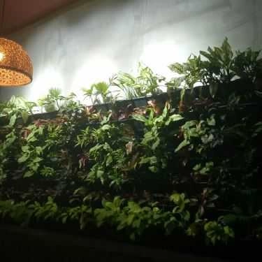 Tổng hợp- Tropica Coffee