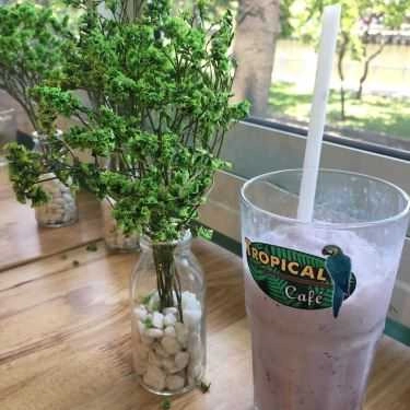 Món ăn- Tropical Cafe