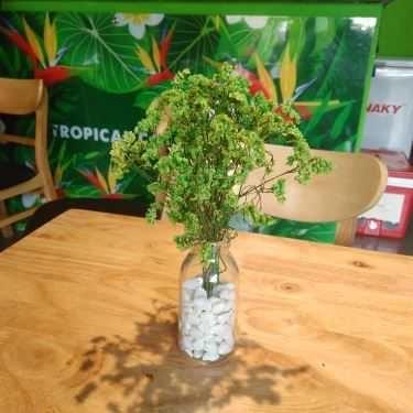 Tổng hợp- Tropical Cafe
