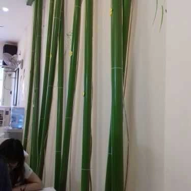 Tổng hợp- Cafe Tropical Juice - Trà Sữa & Trái Cây