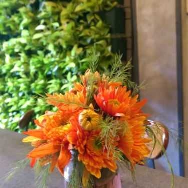 Tổng hợp- Tropicland Coffee & Juice Bar