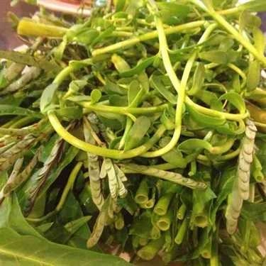 Tổng hợp- Tuấn Mập - Quán Nhậu
