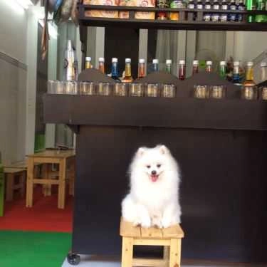 Tổng hợp- Ăn vặt Twin - Trà Sữa & Soda Thái