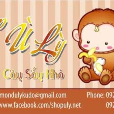 Tổng hợp- Ù Lỳ - Trái Cây Sấy Khô - Shop Online