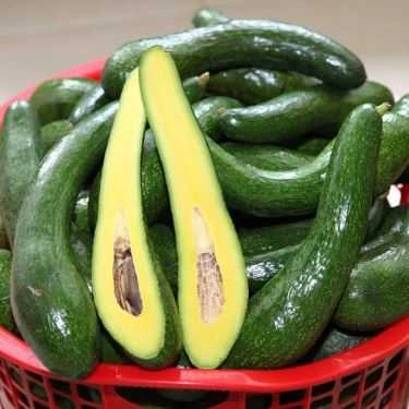 Tổng hợp- Đặc Sản Bốn Phương - Trái Cây sạch - Shop Online