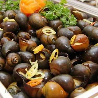 Tổng hợp- Quán Nhậu Sóng Biển 18 - Buffet 99K