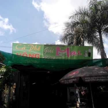 Tổng hợp- Mai - Giải Khát & Cafe Võng