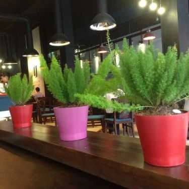 Tổng hợp- Urban Station Coffee Takeaway - Lê Văn Sỹ