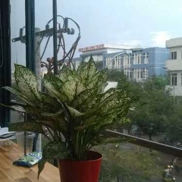 Tổng hợp- Urban Station Coffee Takeaway - Đinh Tiên Hoàng