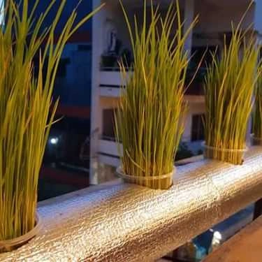 Tổng hợp- Quán Ăn Vegan - Drink & Food