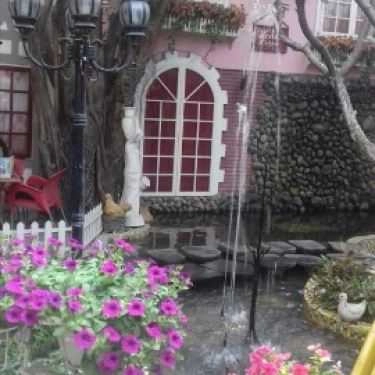 Tổng hợp- Venus Cafe - Nguyễn Văn Quá