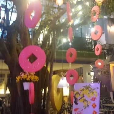 Tổng hợp- Violette Cafe
