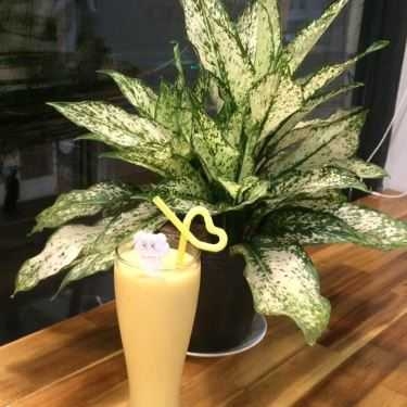 Món ăn- Cafe Vita - Nước Ép & Sinh Tố