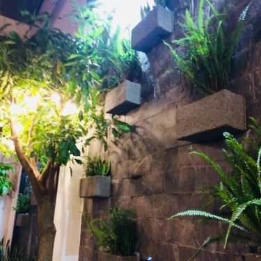 Tổng hợp- Viva Star Coffee - Võ Thành Trang
