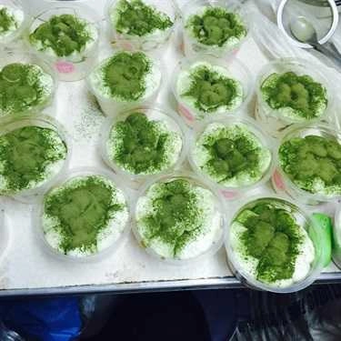Món ăn- Tiệm Bánh Vivi’s House Bakery
