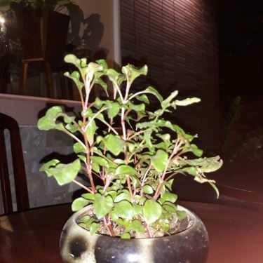 Tổng hợp- Vô Biên Cafe