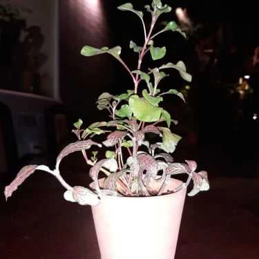 Tổng hợp- Vô Biên Cafe