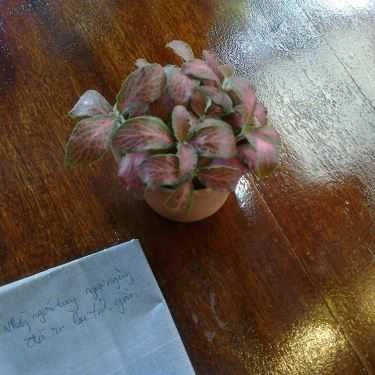 Tổng hợp- Vô Biên Cafe
