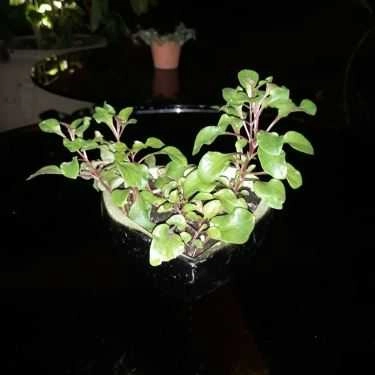 Tổng hợp- Vô Biên Cafe