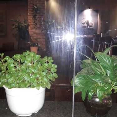 Tổng hợp- Vô Biên Cafe